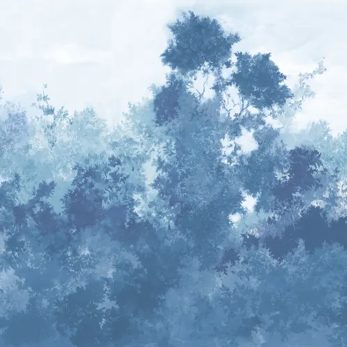 Paysage serein