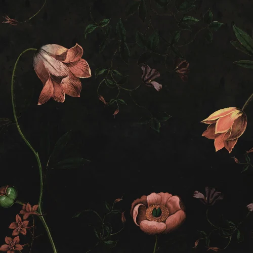 Nocturnal Floral Mystery