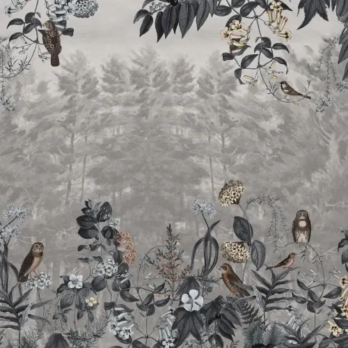 Fuga dalla foresta misteriosa
