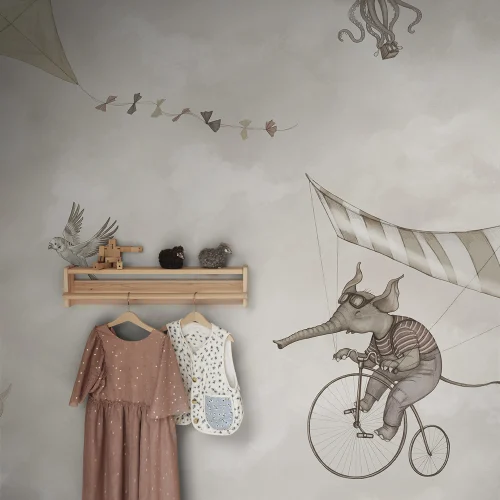 Dreamy Sky Adventures