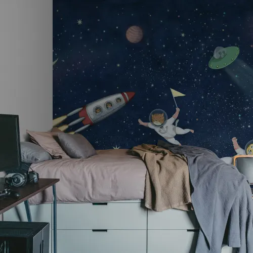 Space Cat Adventures