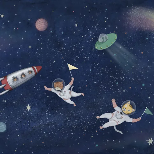 Space Cat Adventures