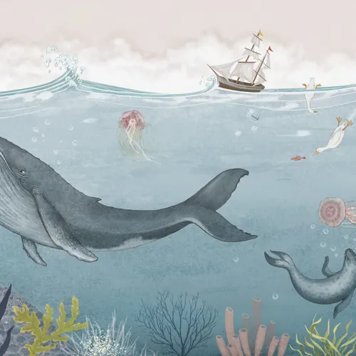 Ocean Adventure