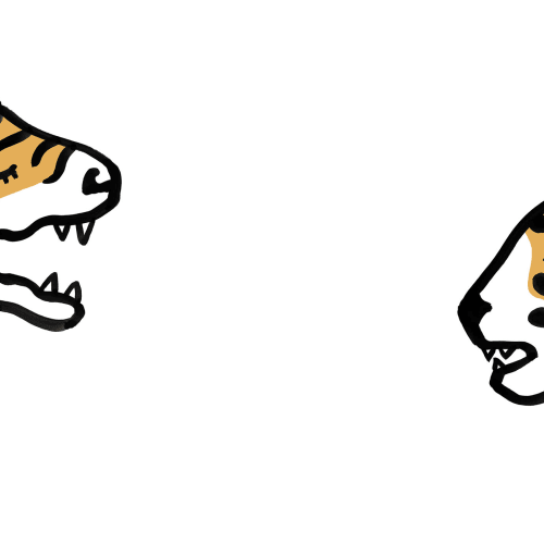 Graphic Cat Gossip