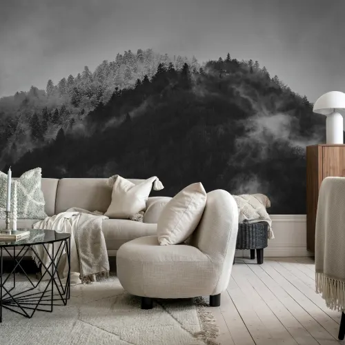 Monochrome Mountain