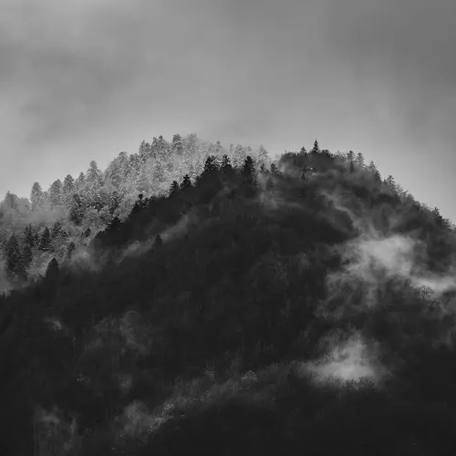 Monochrome Mountain