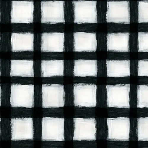 Bold Monochrome Squares