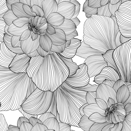 Des fleurs d'un graphisme saisissant
