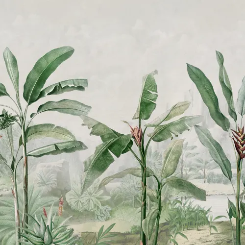Image Jungle