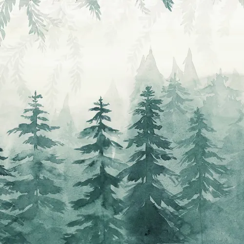 Calming Wilderness