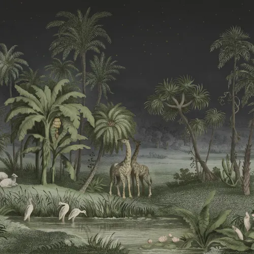 Night Safari