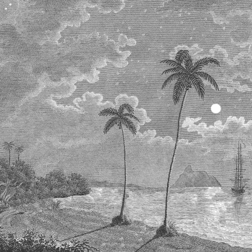Tropical Escape