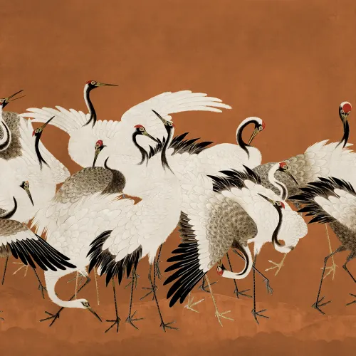 Graceful Cranes
