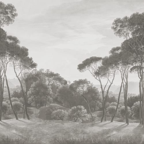 Απόδραση από το δάσος Misty Forest