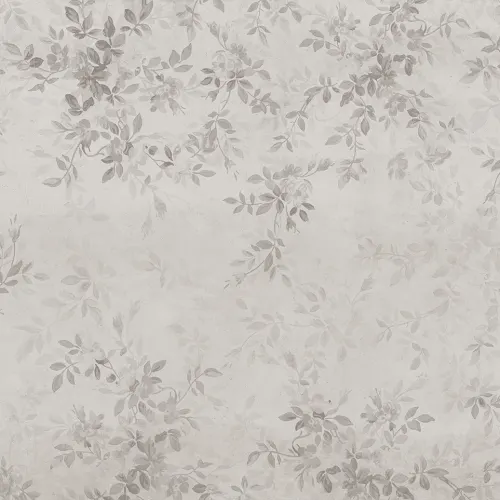 Image Grigio