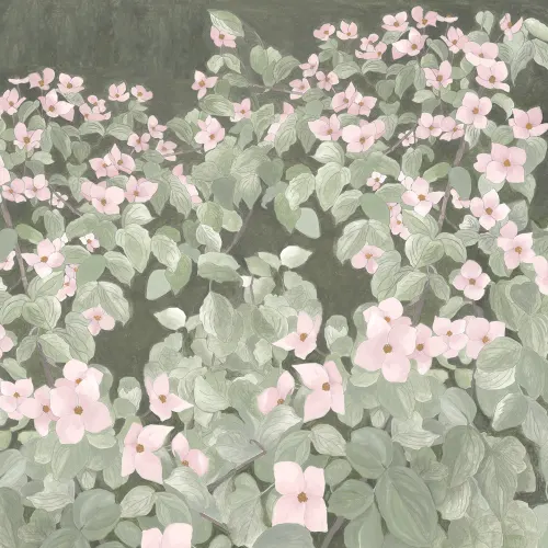 Umarmen Sie die Natur mit Pink Parkflowers