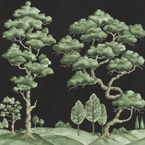 Enchanted Forest