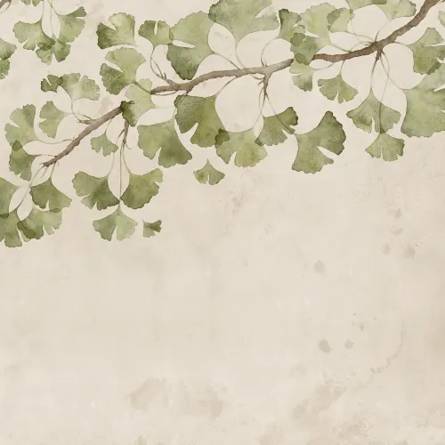 Ginkgo Grace