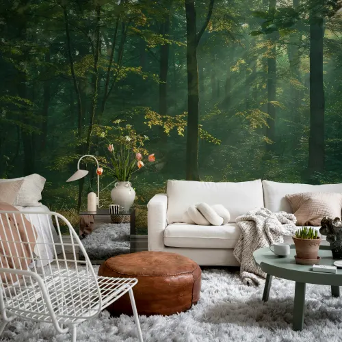Sunlit Forest Escape