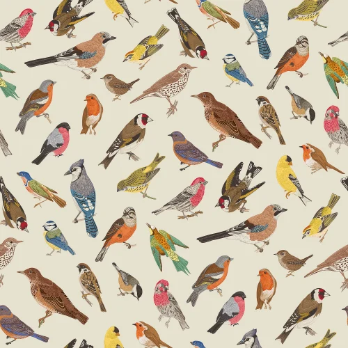 Bunte Vogelharmonie