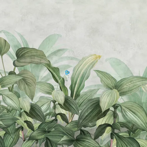 Üppiger Hosta-Traum