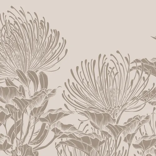 Protea Elegance