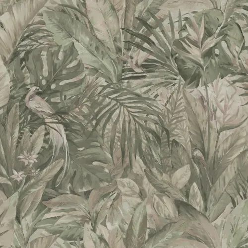 Embrace the Jungle with Our Feathered Friends