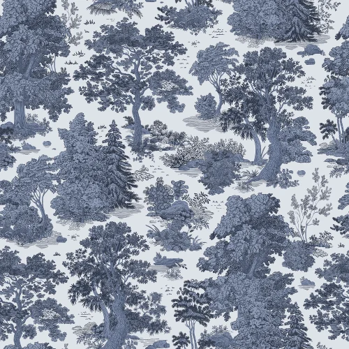 Enchanted Forest
