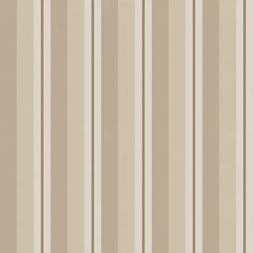 Chic Stripes