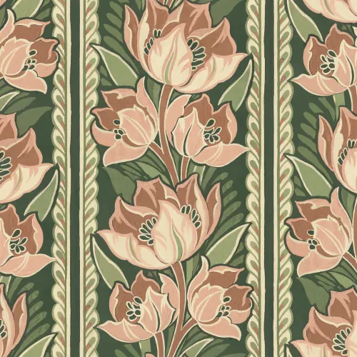 Tulipe élégante à rayures