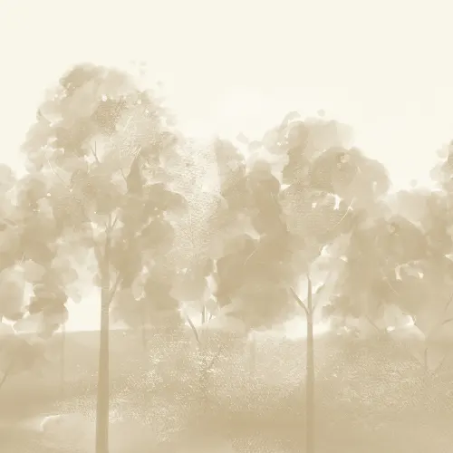Embrace Serenity with Misty Grove