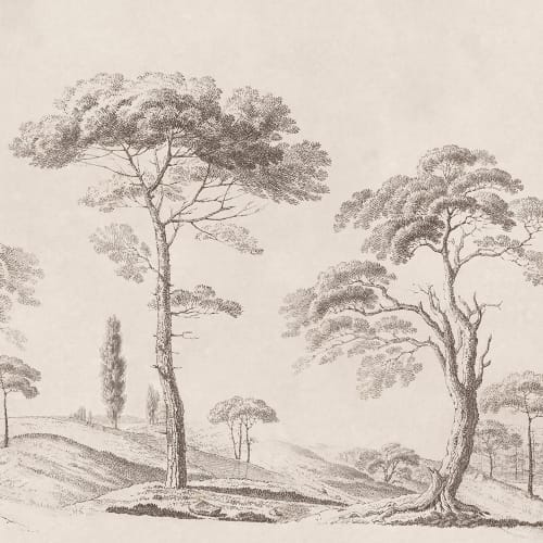 Esplora la serenità di Graphite Tree Studies