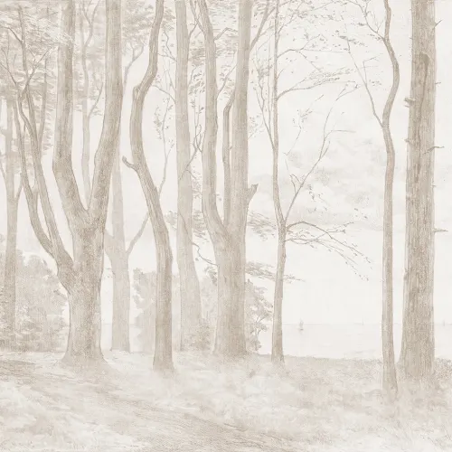 Abbraccia la natura con le linee del bosco
