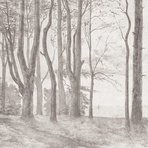 Abbraccia la tranquillità del bosco