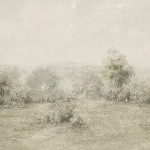 Plongez dans le Silence de la Nature