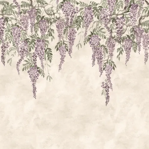 Wisteria Wonder
