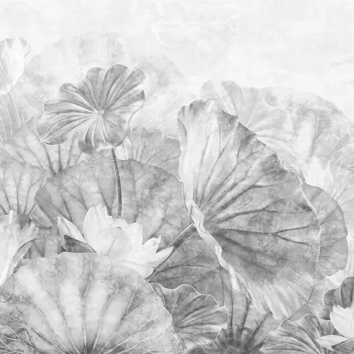 Serenity in Shades of Gray