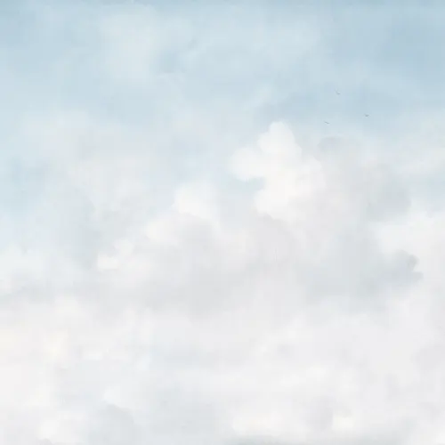 Breng rust in je huis met vintage wolken