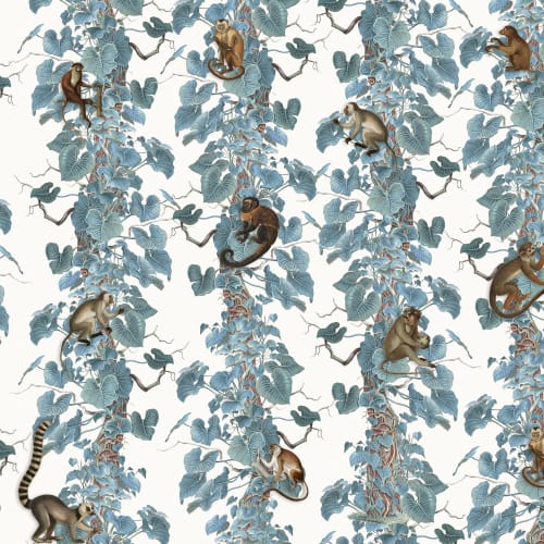 Charming Monkey Climb