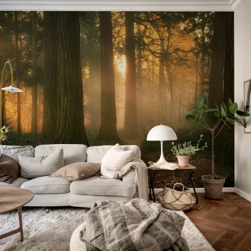 Embrace the Serene Forest Glow