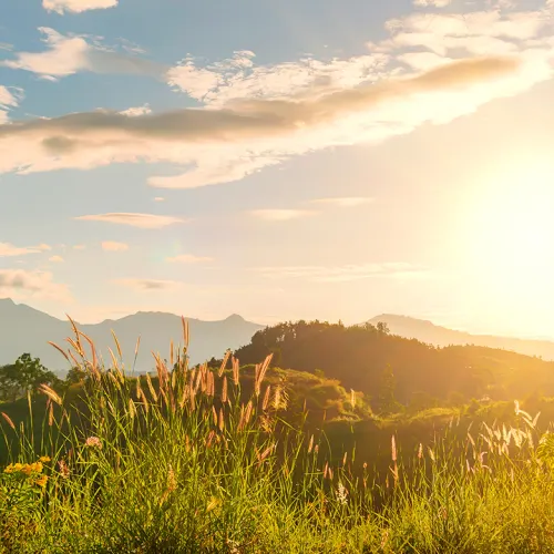 Embrace a New Dawn with Sunrise Hills