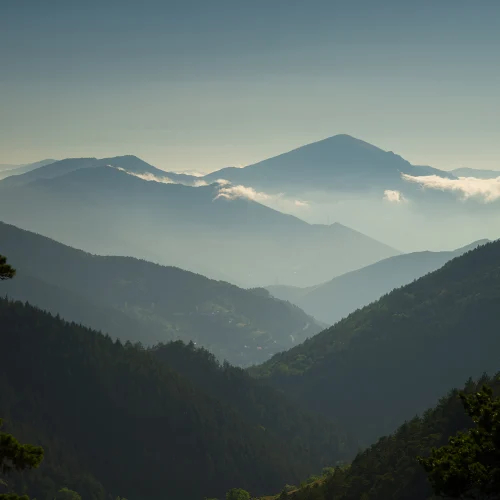 Αγκαλιάστε τη γαλήνη του Magic Hills