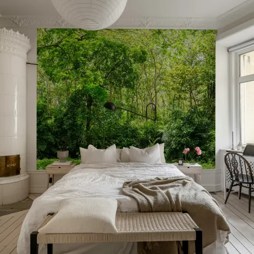 Omfavne naturen med en frodig sommer skov