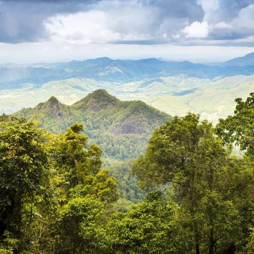 Embrace the Majesty of Green Peaks