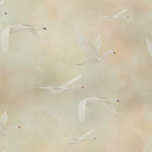 Graceful Flight