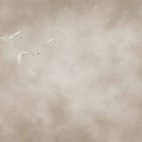 Vuelo etéreo