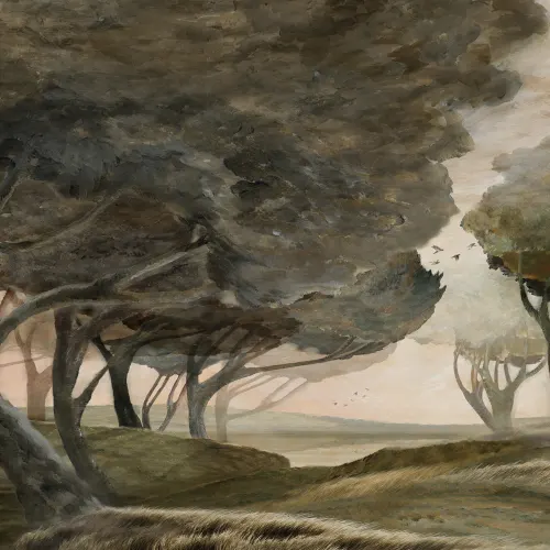 Embrace the Atmosphere of Windy Woods