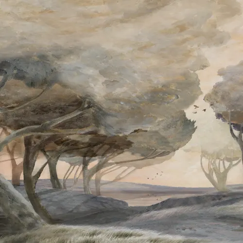 Whispering Trees: A Windy Woods Escape