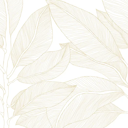 Omge dig med Naturlig Elegans med Ruby Lines