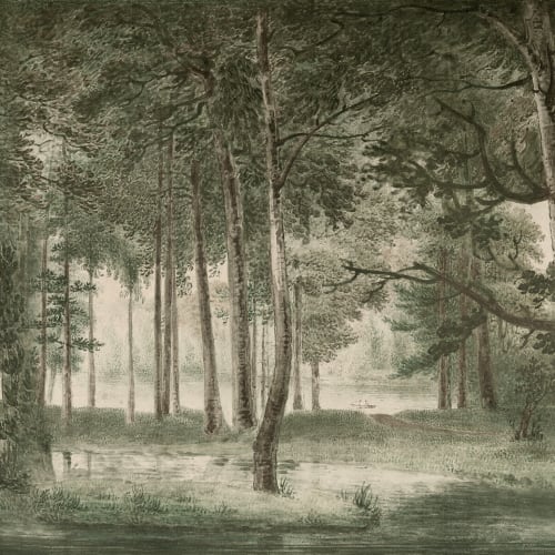 Image Forest